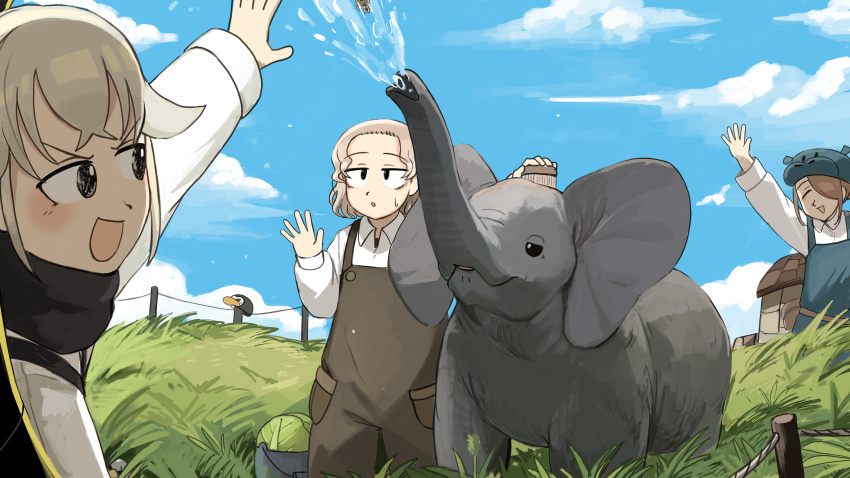 Sample image