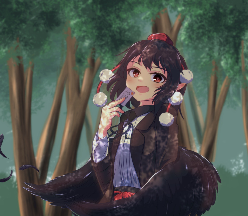 Sample image