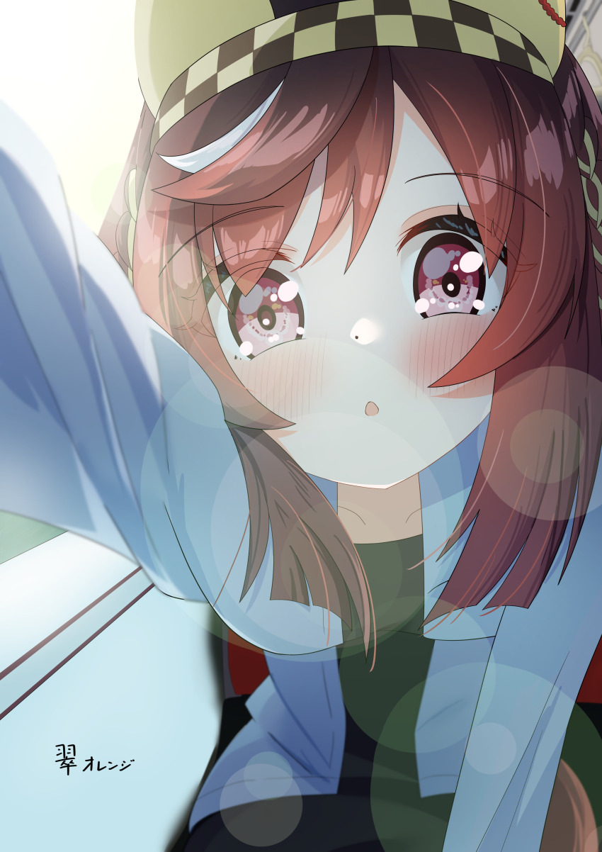 Sample image