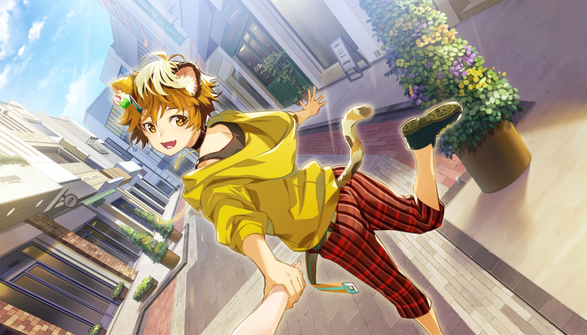 Sample image