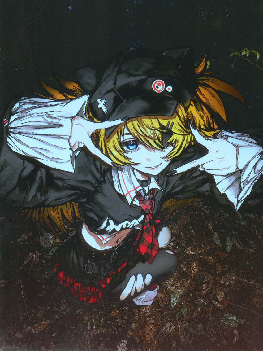 Sample image