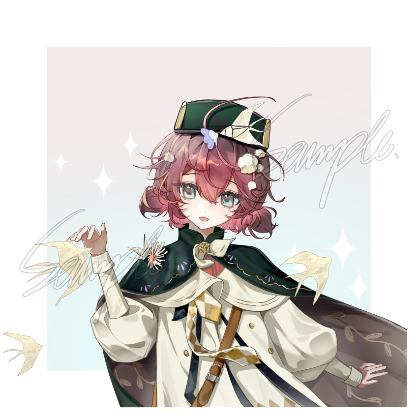 Sample image
