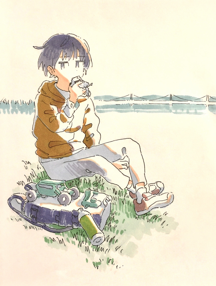 Sample image