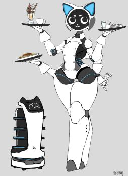 Proxied media