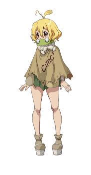 Proxied media