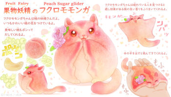 Proxied media