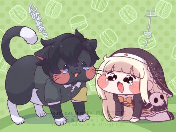 Proxied media