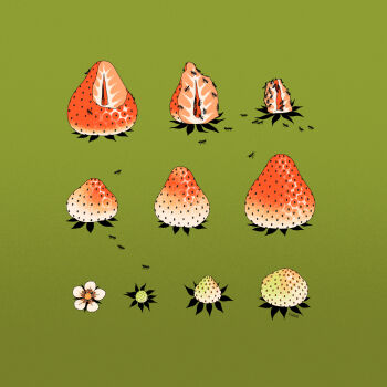 Proxied media
