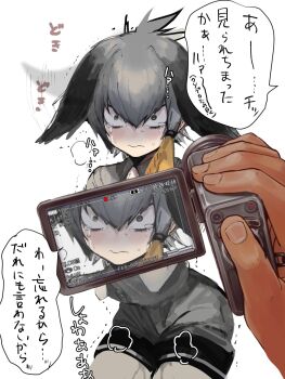 Proxied media