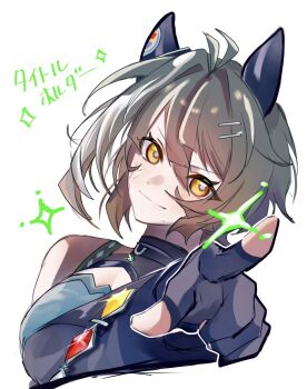 Proxied media