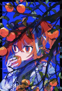 Proxied media