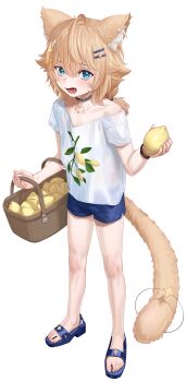 Proxied media