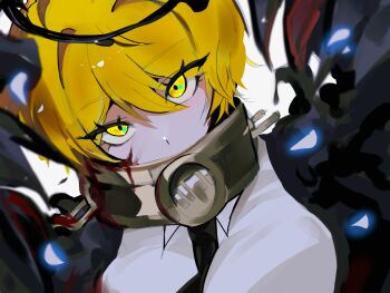 Proxied media