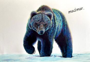 Proxied media