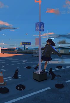 Proxied media