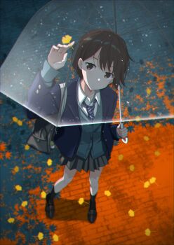 Proxied media