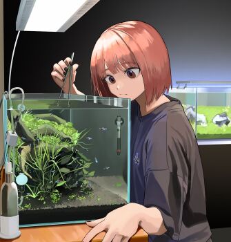 Proxied media