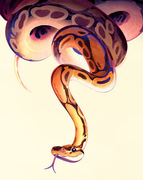 Proxied media