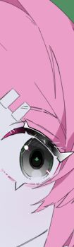 Proxied media
