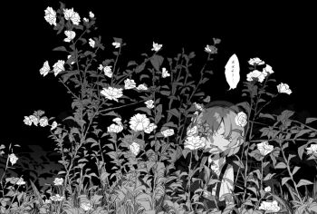 Proxied media