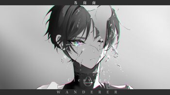 Proxied media