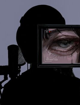 Proxied media
