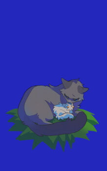 Proxied media