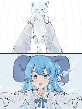 Proxied media