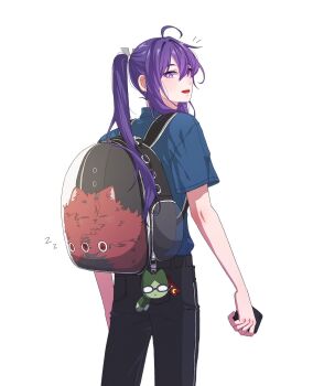 Proxied media