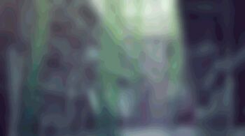 Proxied media