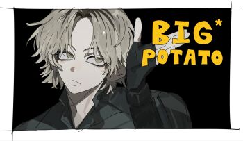 Proxied media