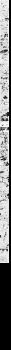 Proxied media