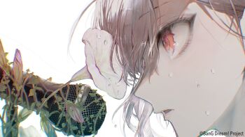 Proxied media