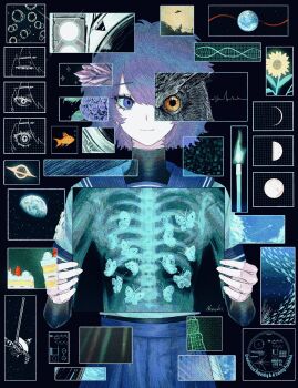 Proxied media