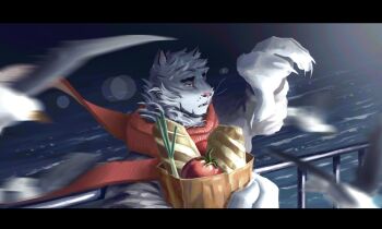 Proxied media