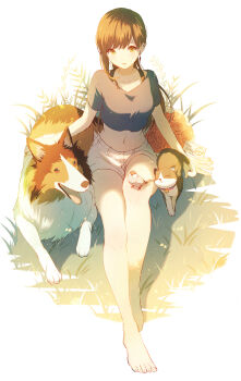 Proxied media