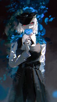 Proxied media