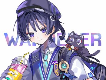 Proxied media