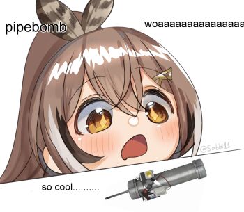 Proxied media