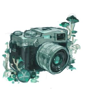 Proxied media