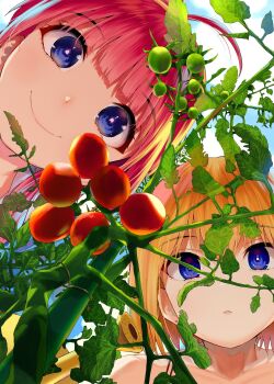 Proxied media