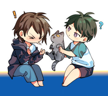 Proxied media