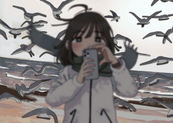 Proxied media
