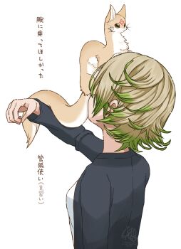 Proxied media