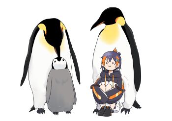 Proxied media