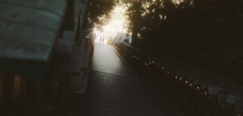 Proxied media