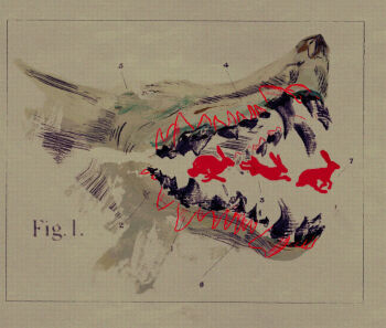 Proxied media