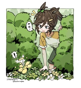Proxied media