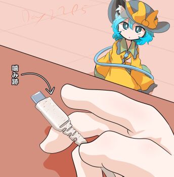 Proxied media