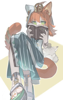 Proxied media